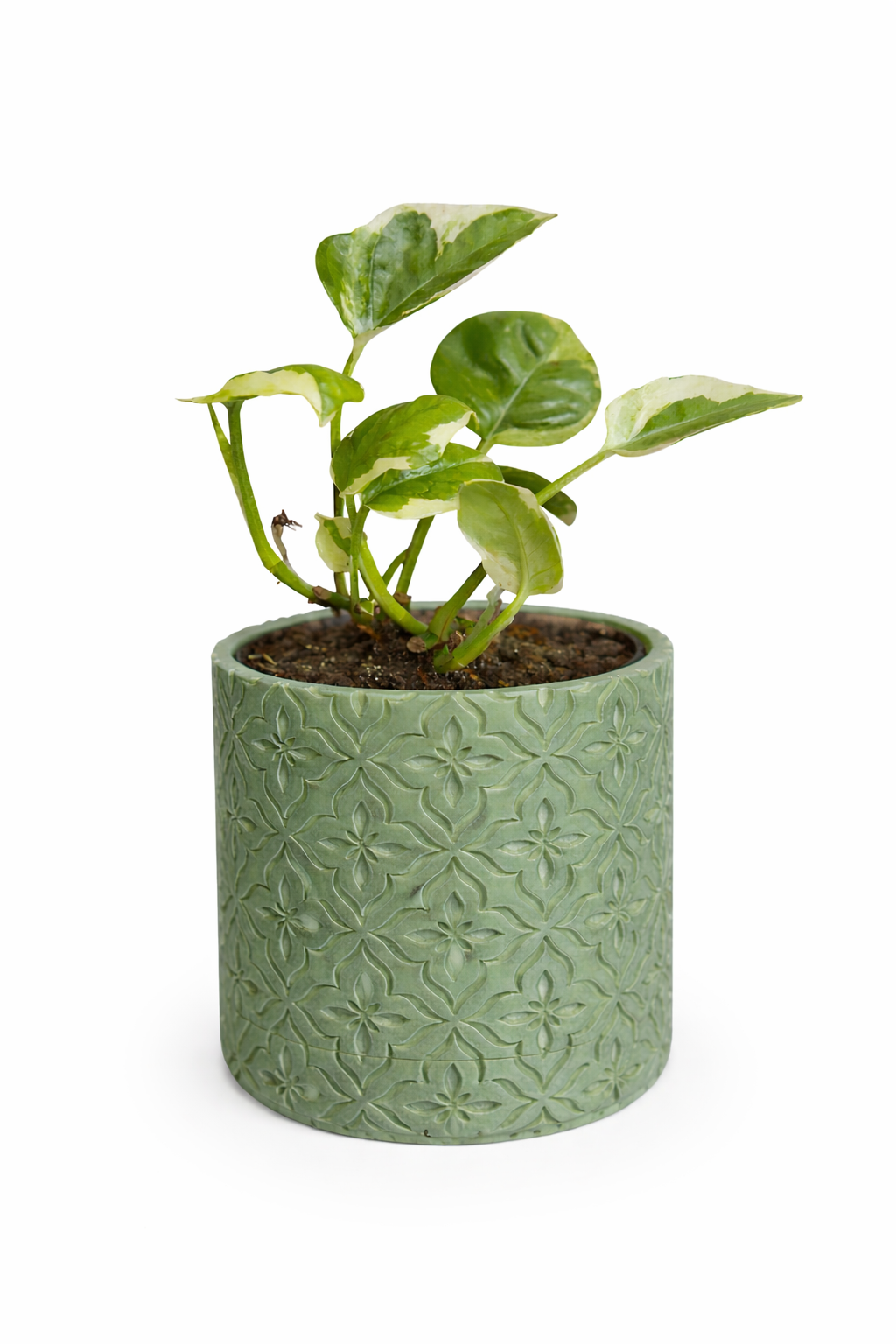 Modern Minimalist Wall Planter Pot