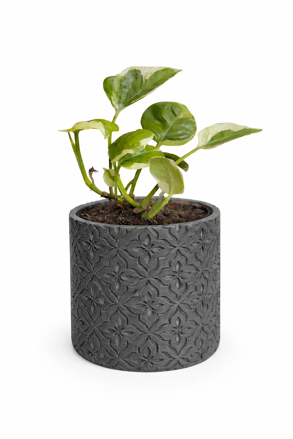 Modern Minimalist Wall Planter Pot