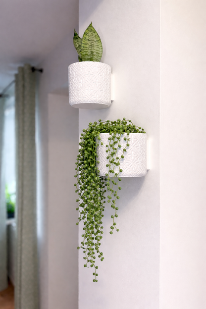 Modern Minimalist Wall Planter Pot