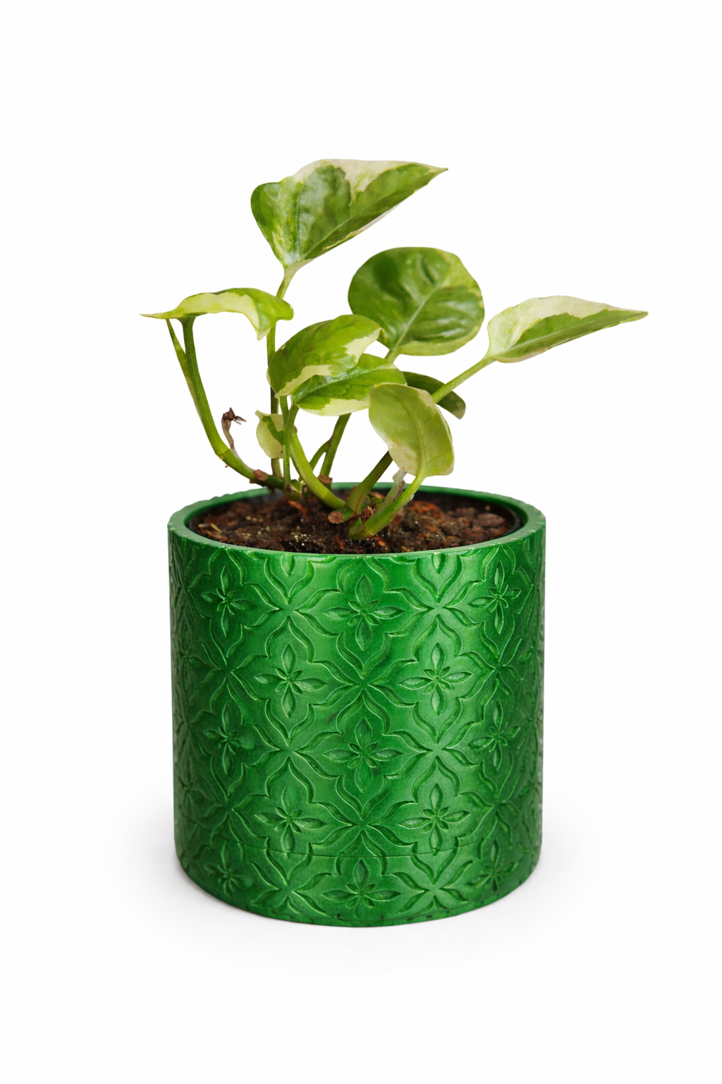 Modern Minimalist Wall Planter Pot