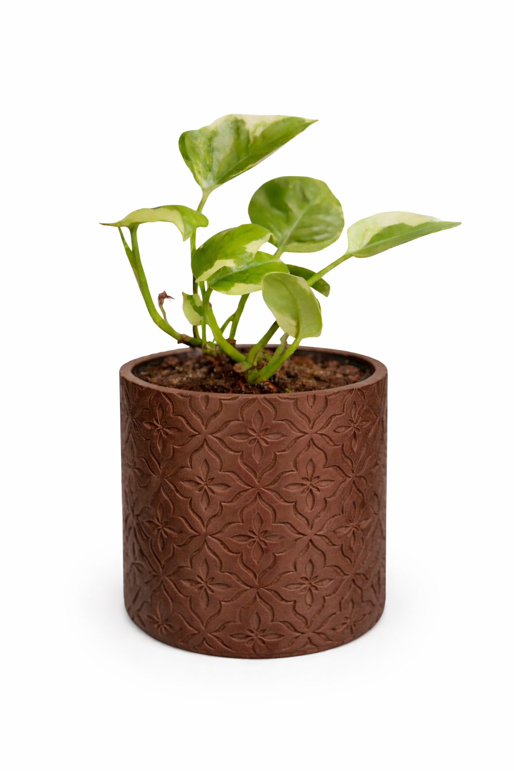 Modern Minimalist Wall Planter Pot