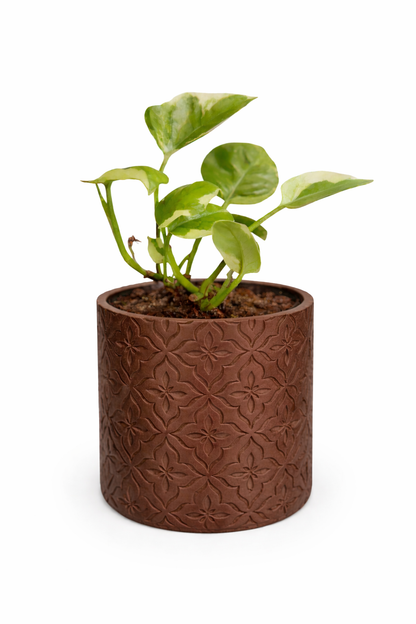 Modern Minimalist Wall Planter Pot