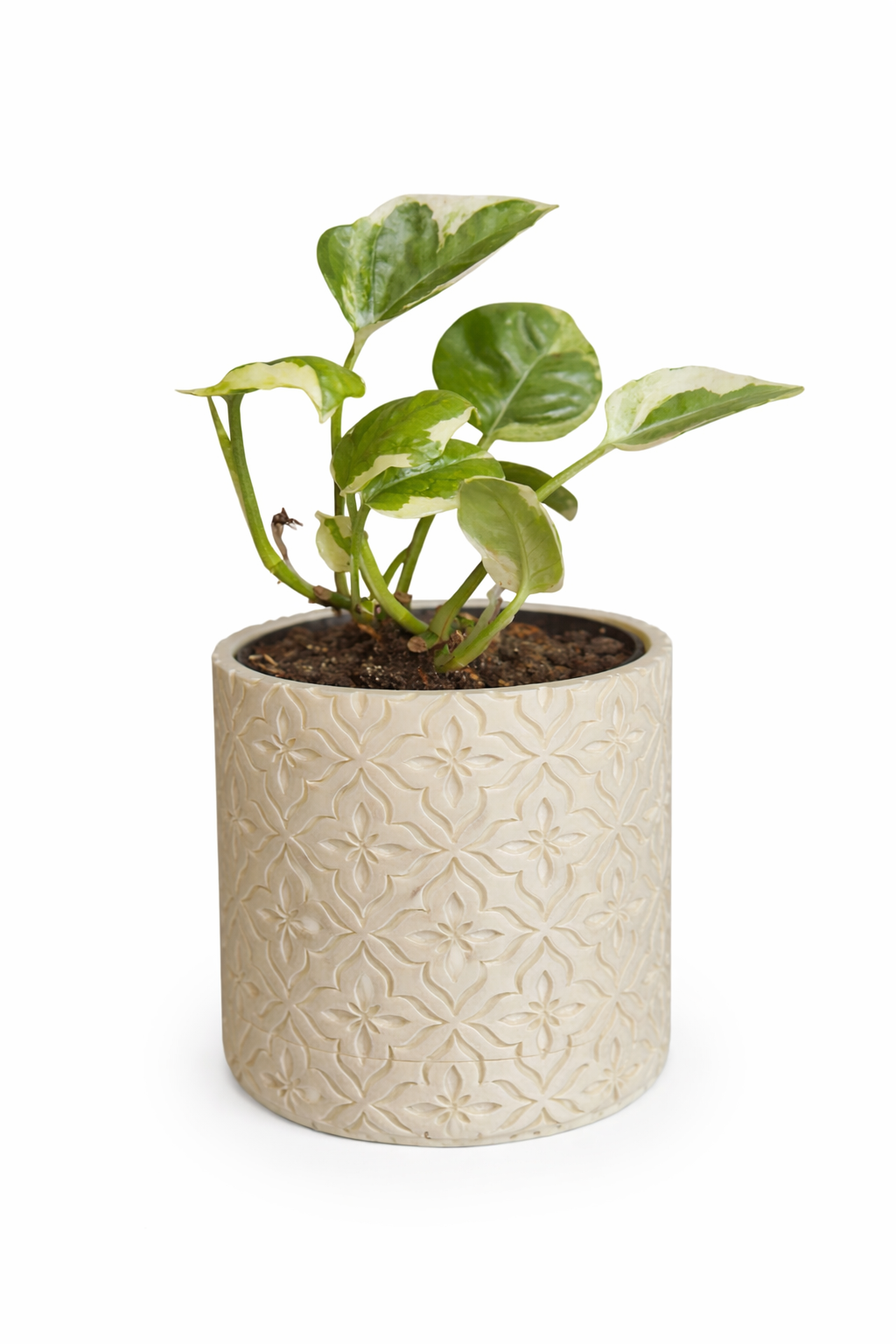 Modern Minimalist Wall Planter Pot