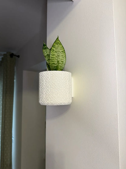 Modern Minimalist Wall Planter Pot