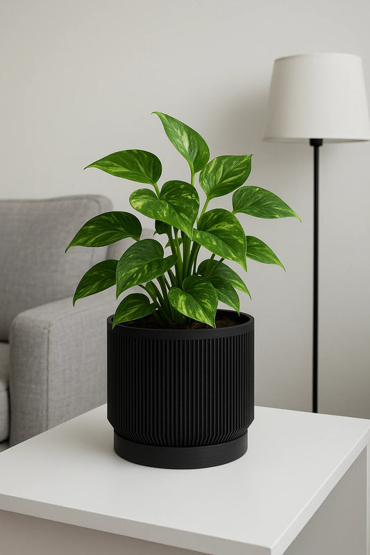 black table planter with ribbed design