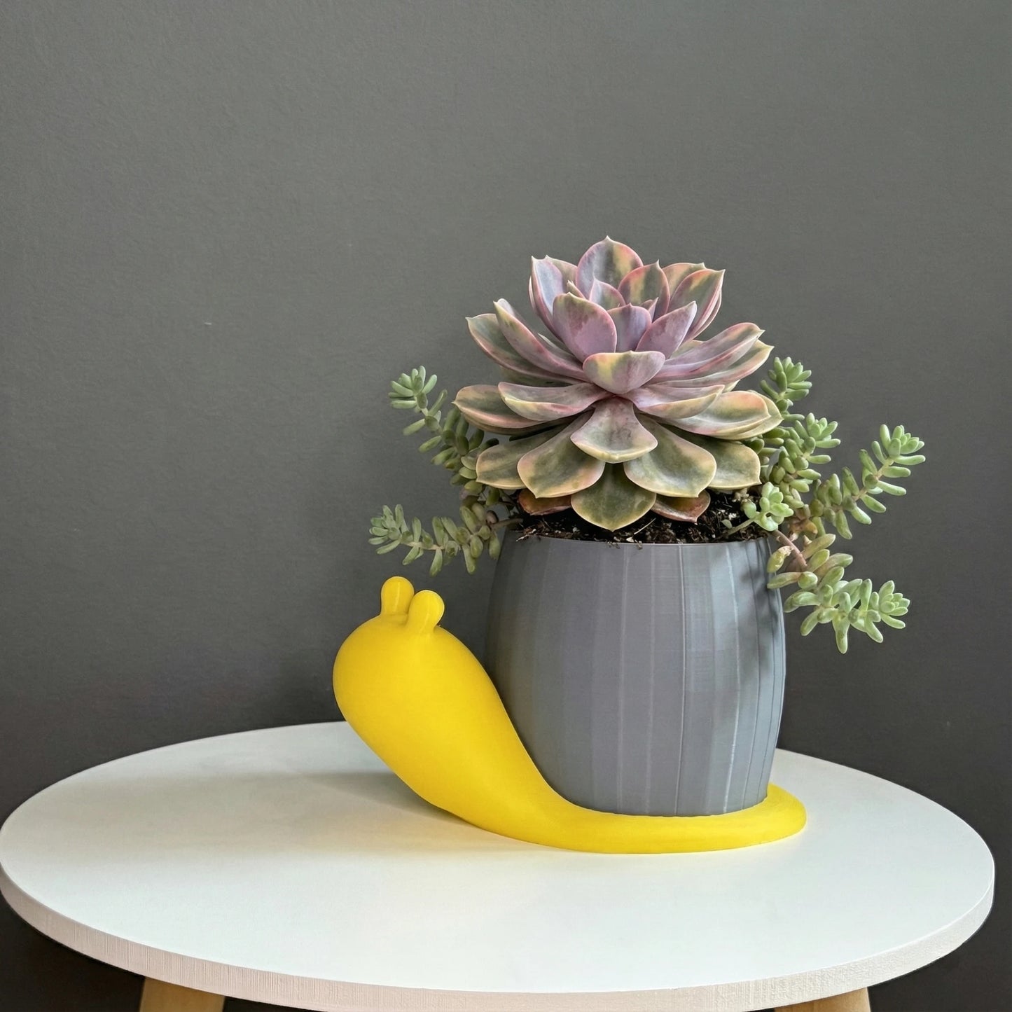 Snail Planter Pot