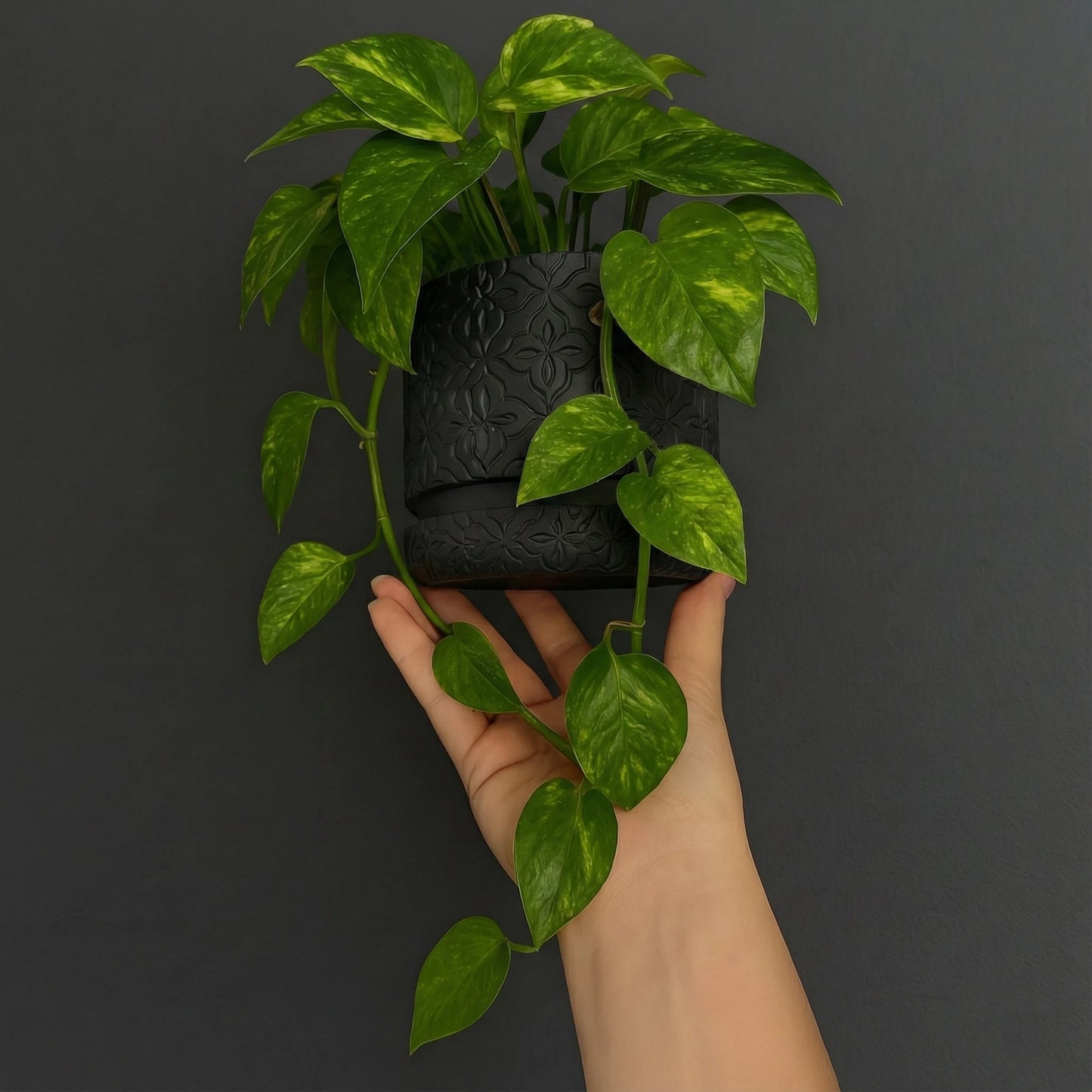 Modern Minimalist Wall Planter Pot