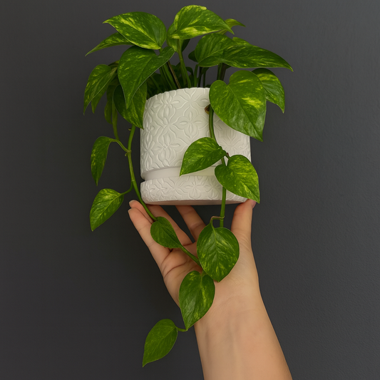 Modern Minimalist Wall Planter Pot